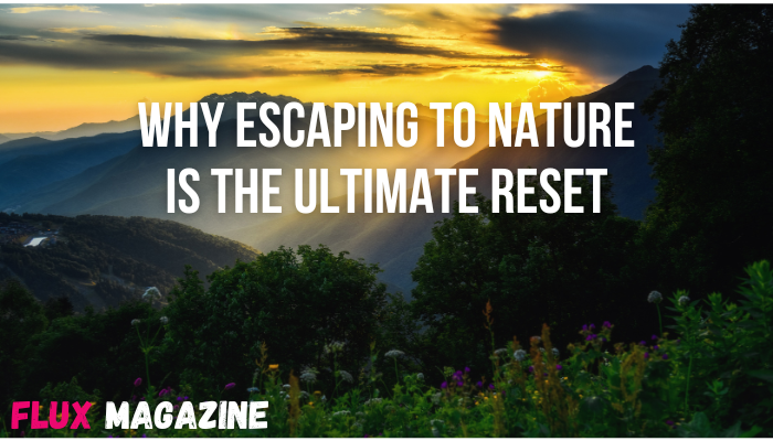 Why Escaping to Nature is the Ultimate Reset