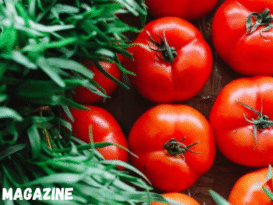 Breathing New Life into a Culinary Legend