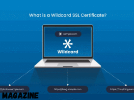 What Are Wildcard Certs and Why Do You Need One