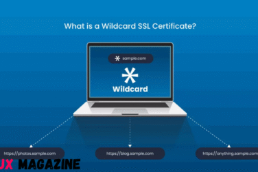 What Are Wildcard Certs and Why Do You Need One