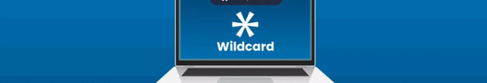 What Are Wildcard Certs and Why Do You Need One