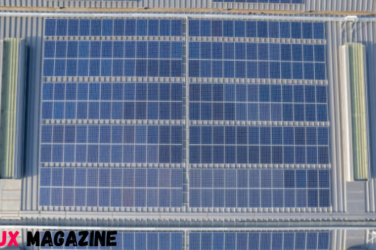 How Battery Energy Storage Systems Manufacturers are Shaping Renewable Energy